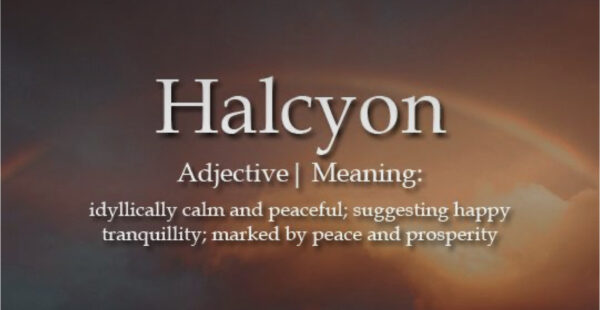 halcyon