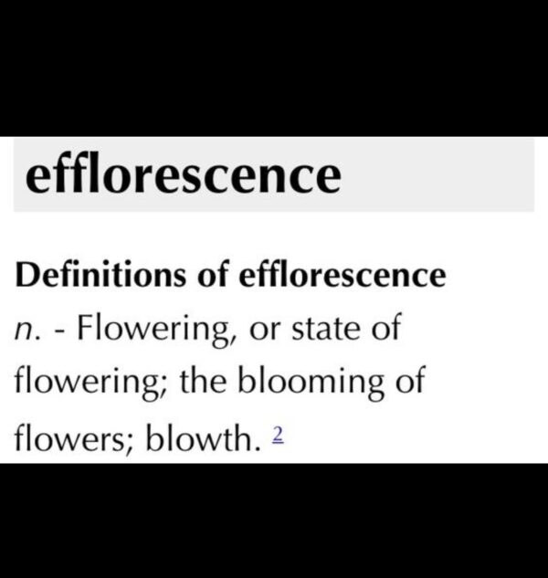 efflorescence